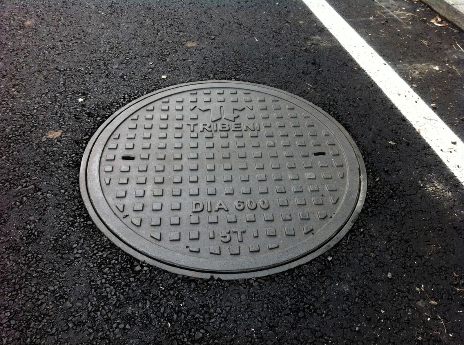 FRP Circular Manhole Cover 600 mm 5 Ton